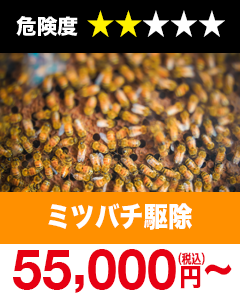 ミツバチ駆除55,000円(税込)